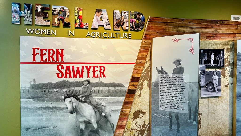 A photo of Fern Sawyer a woman on a horse on panels in the Her Land Women in Agriculture exhibit