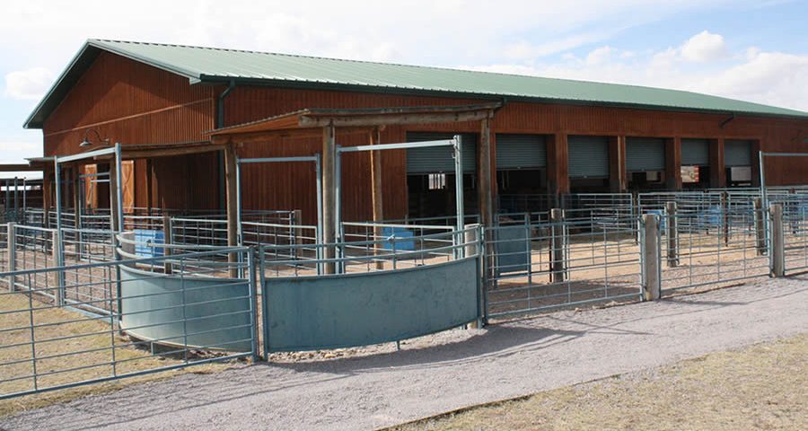 sheep goat barn